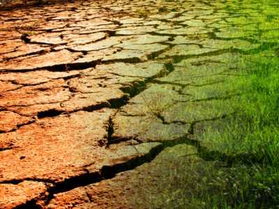 Uitgelichte afbeelding voor Drinkwater schaars bij droogte…